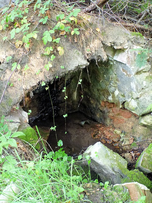 studánka V Mezibořském údolí (6003) - září 2012