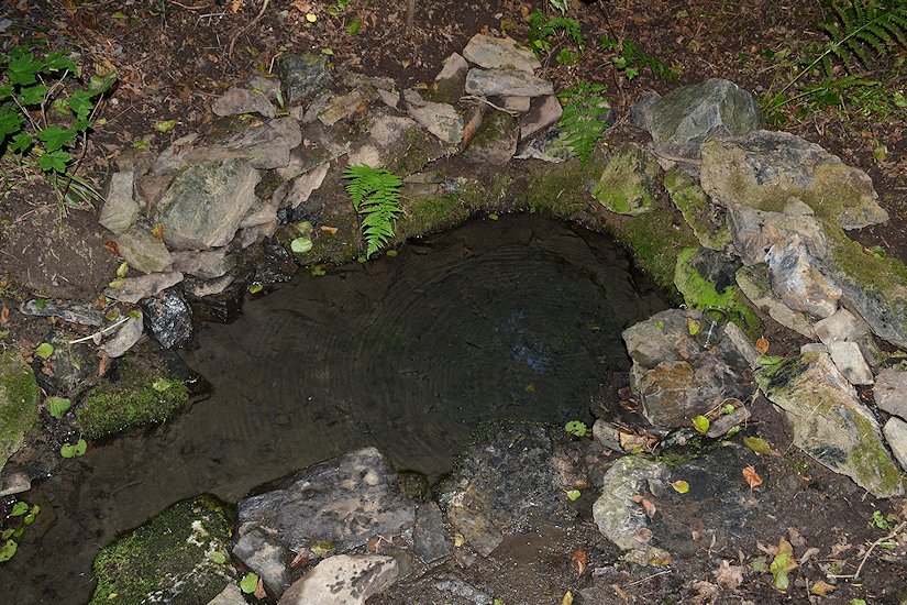 studánka V šipce (6009) - září 2012