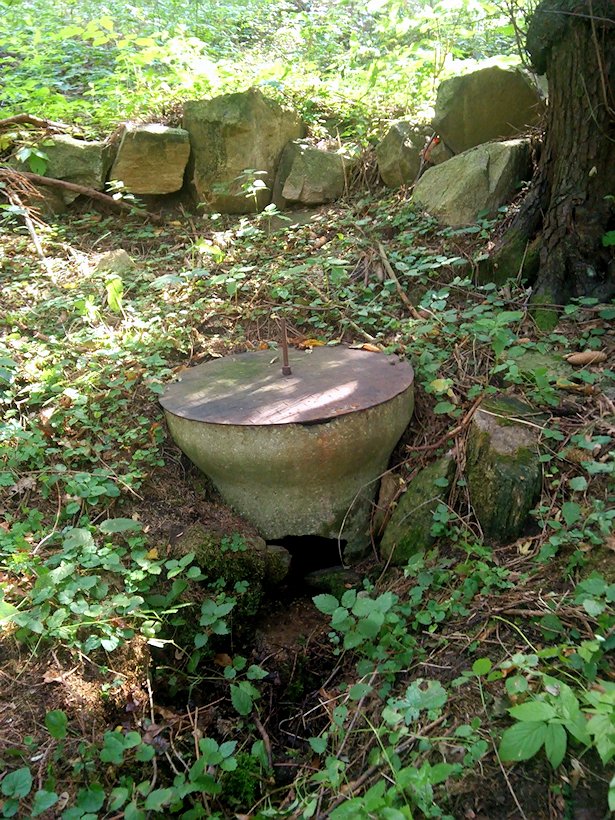 studánka bez jména (6012) - červenec 2019