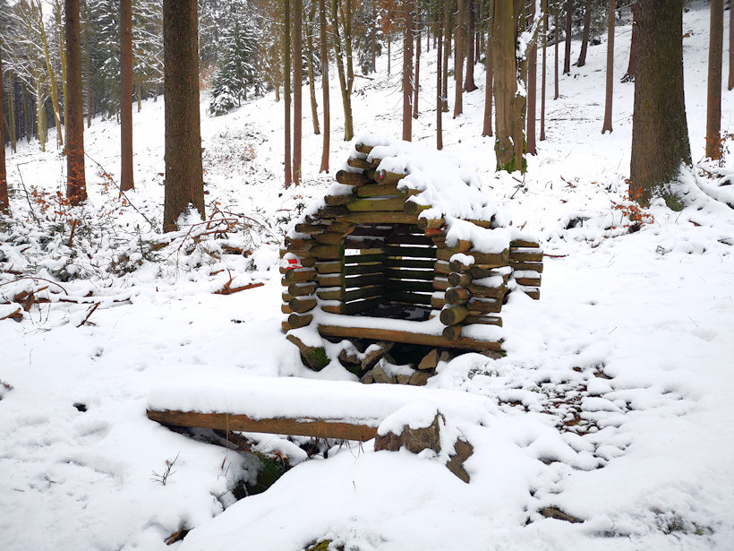 studánka bez jména (6014) - leden 2021