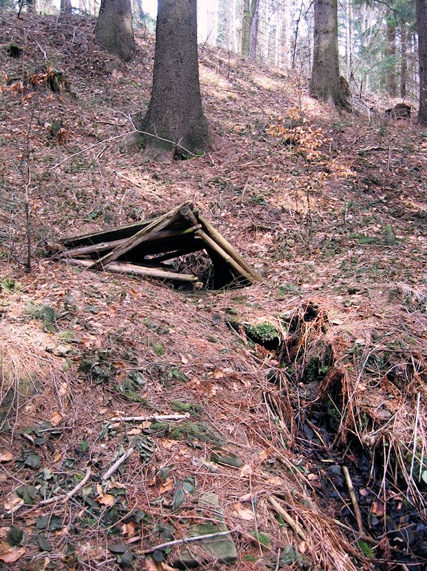 studánka Na Sedle (6020) - červen 2013