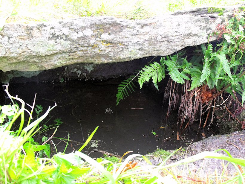 Louženská studánka (6028) - září 2012