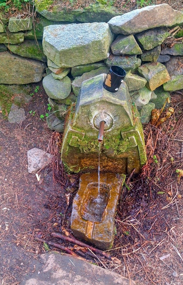 studánka U Knollova mlýna (6034) - duben 2025