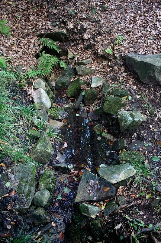 studánka Pod Doubravou (6047) - září 2012
