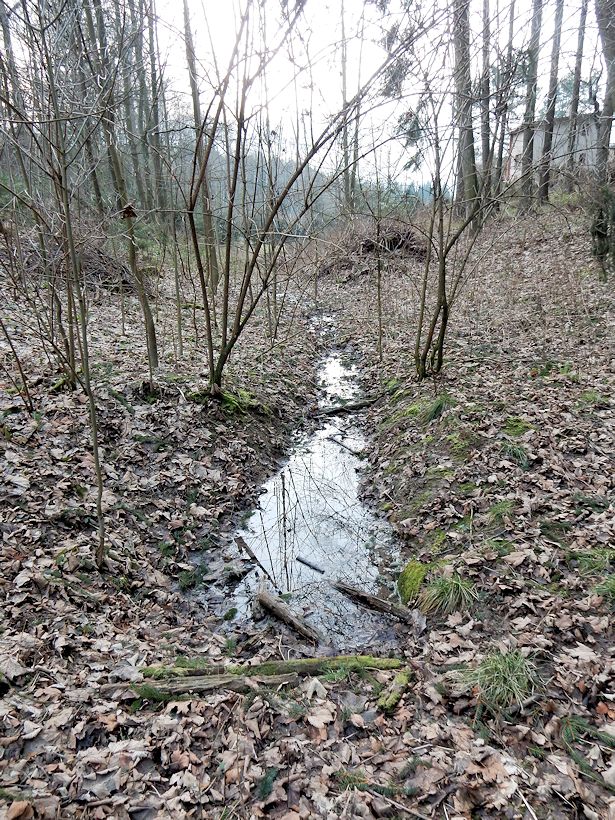 pramen Na Studené hůře (6074) - říjen 2012