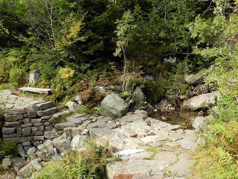 studánka Na Kotelském potoce (6084) - říjen 2012
