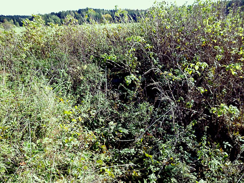 jiný vodní zdroj Merklínka (6100) - říjen 2012