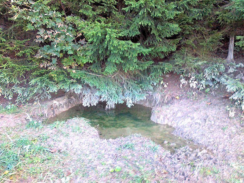 Kančí studánka (6105) - říjen 2012