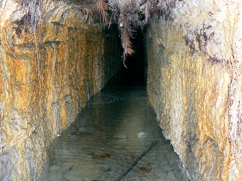 studánka bez jména (6113) - říjen 2012