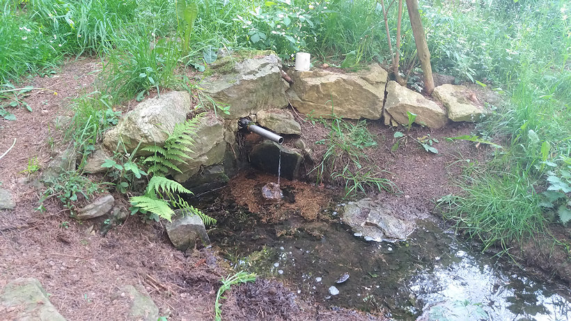studánka bez jména (6121) - květen 2019