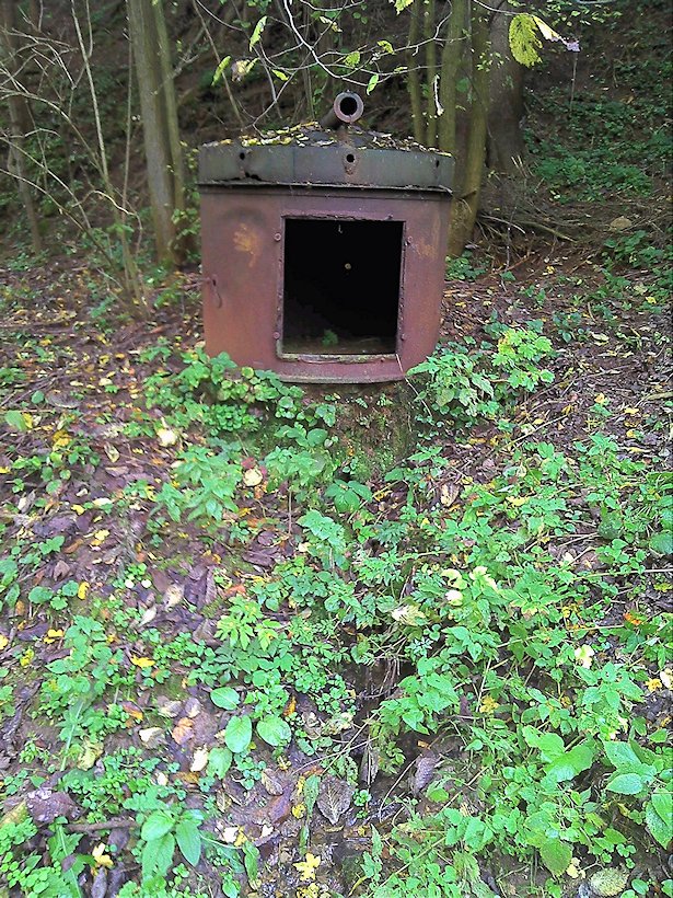studánka U Voženílkova statku (6131) - říjen 2012