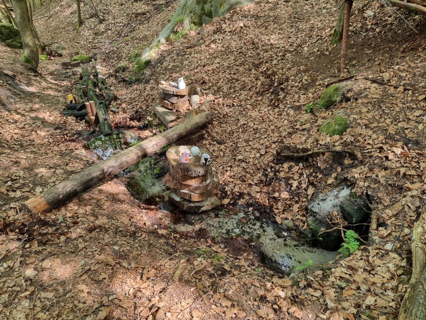 studánka U lesní víly (6133) - květen 2024
