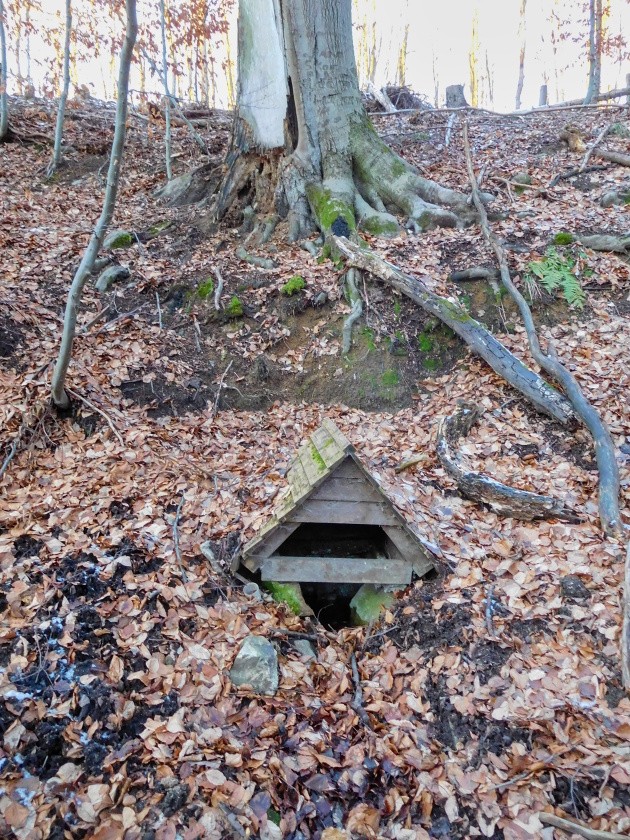 studánka U buku (6137) - leden 2024