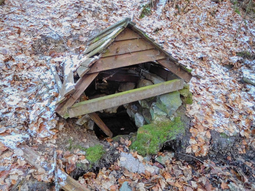 studánka Odol (6138) - leden 2024
