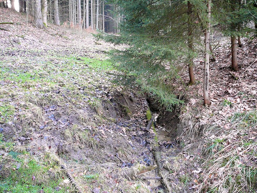 prameniště Smraďoch (6156) - říjen 2012