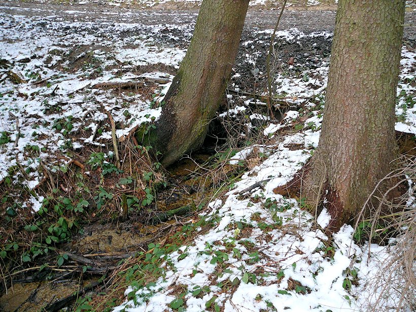 pramen V Křivolíku (6158) - říjen 2012