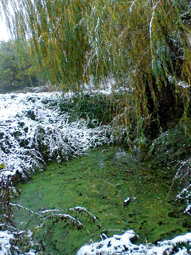 pramen bez jména (6160) - říjen 2012