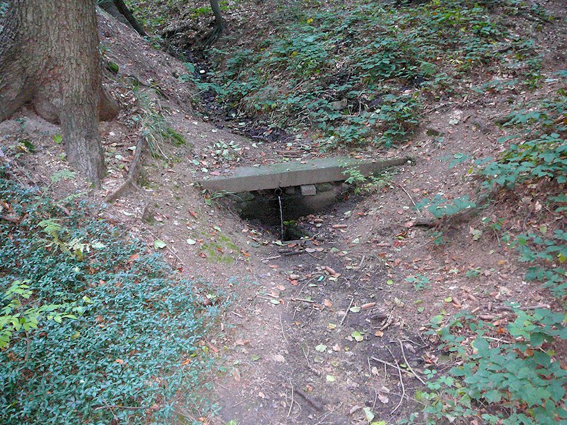 studánka U spálené boudy (6167) - říjen 2012