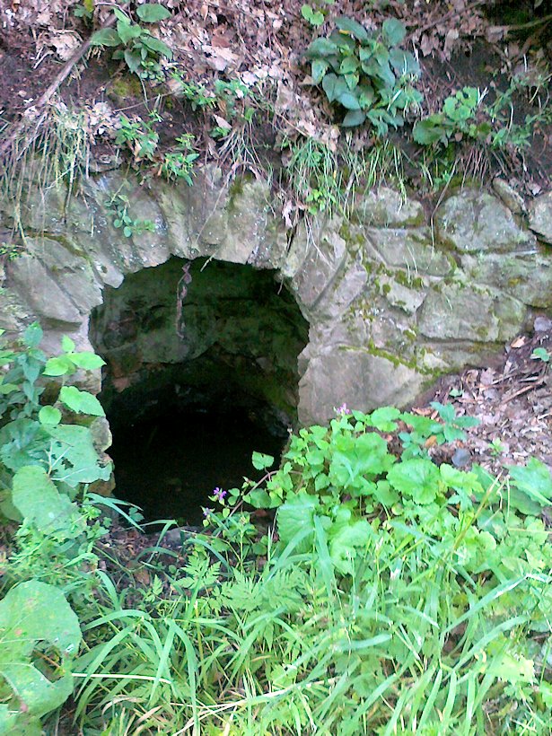 studánka Zeyfská (6194) - listopad 2012
