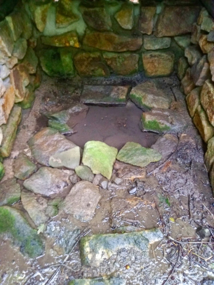 studánka bez jména (6213) - srpen 2024