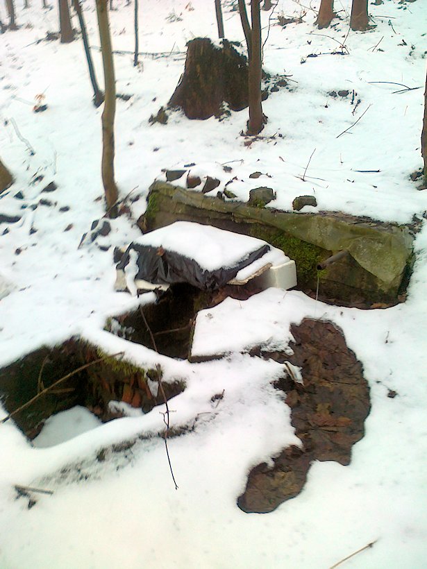 studánka Pod lyžařskou stopou (6223) - listopad 2012