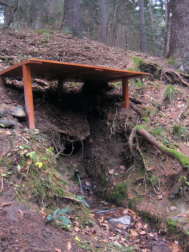 studánka U smrku (6248) - listopad 2012