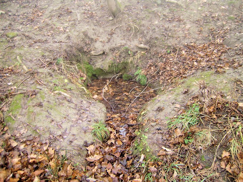 studánka bez jména (6265) - listopad 2012