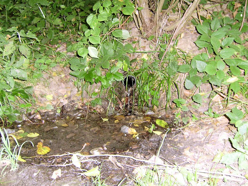 studánka bez jména (6268) - listopad 2012