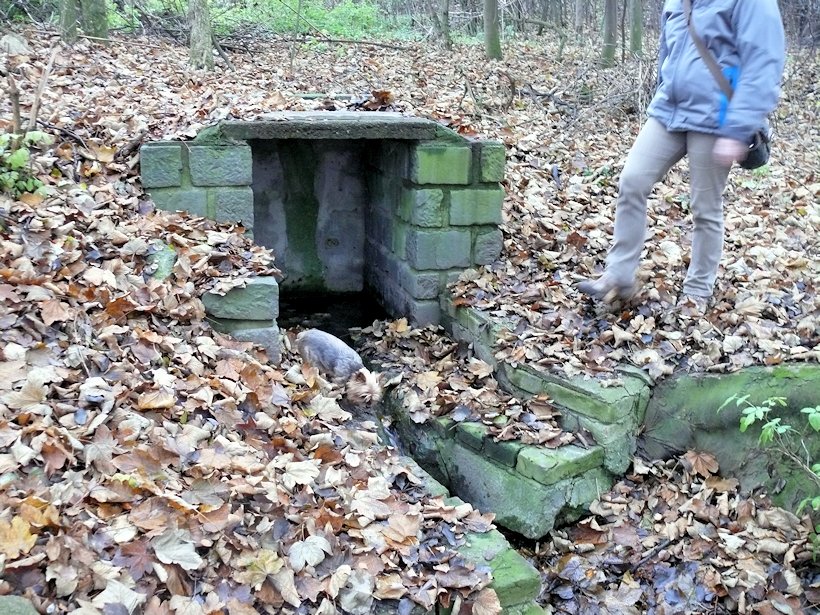 Studánka na Primále (6275) - listopad 2012