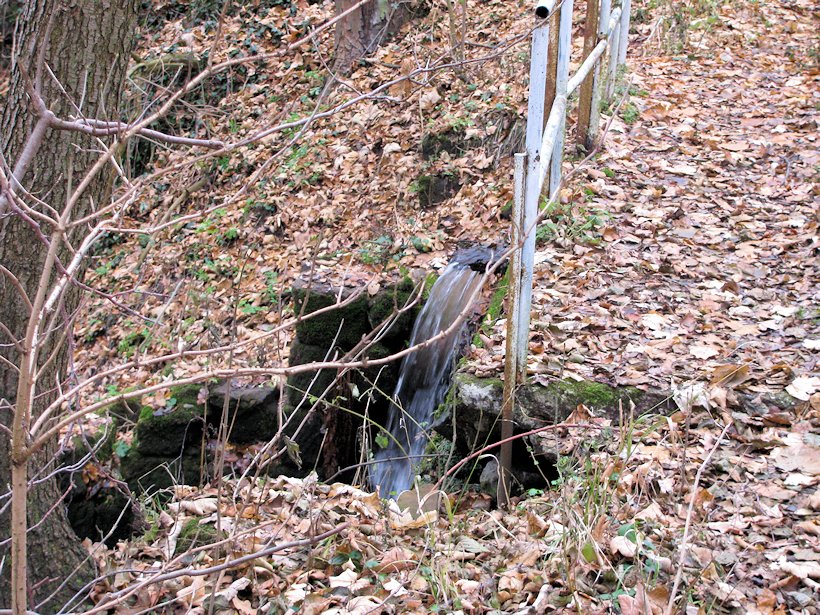 prameniště U Čertova mlýna (6279) - listopad 2012