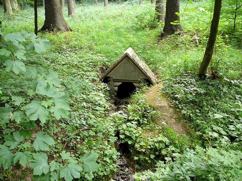 studánka V Rychnovském lese (6281) - listopad 2012
