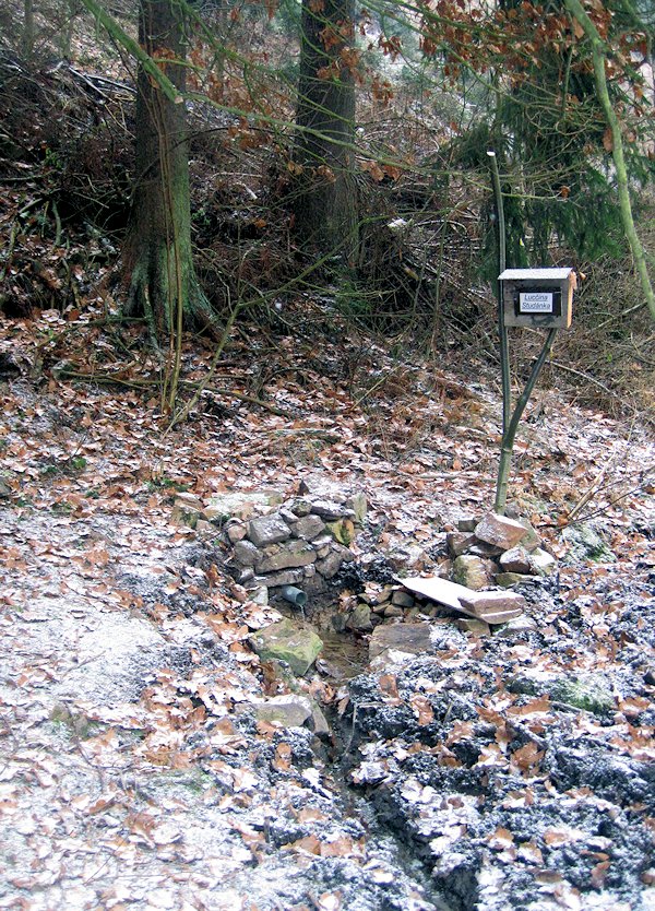 Lucčina studánka (6291) - prosinec 2012