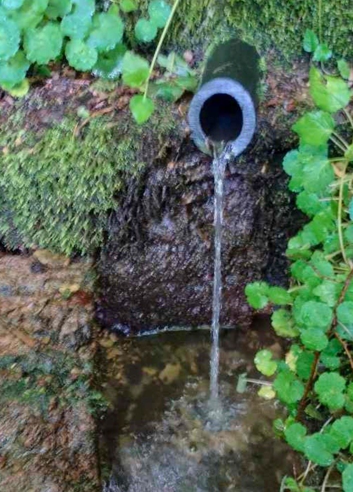 studánka Pod Hradištěm (6306) - říjen 2024