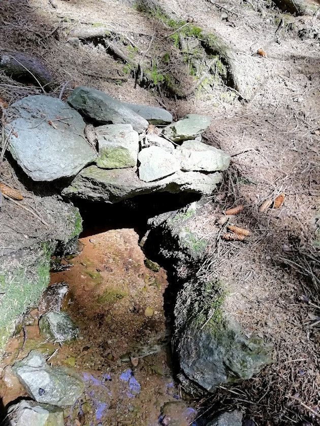 Černá studánka (6310) - duben 2021