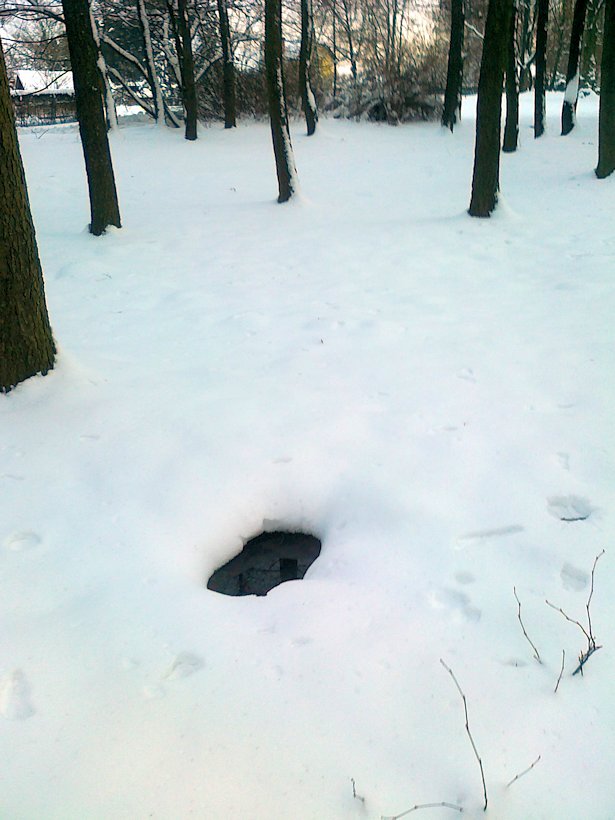 studánka Nad Javoreckým rybníčkem (6311) - prosinec 2012