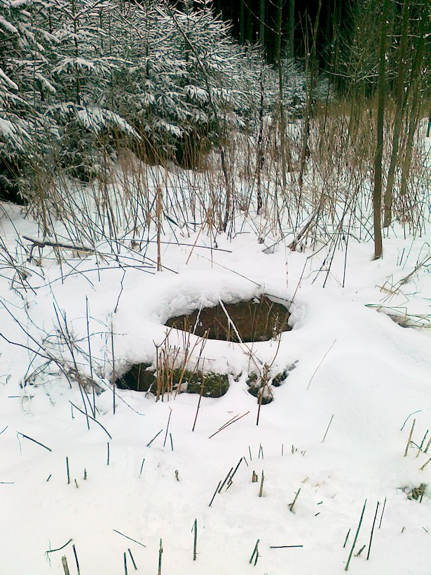 studánka V Beranových dolech (6326) - prosinec 2012