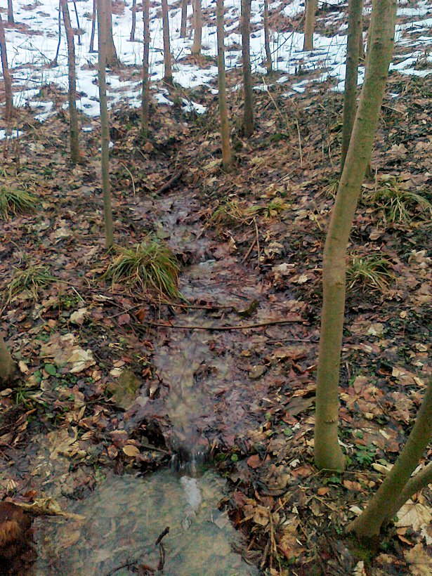 studánka Pod Údolím smrti (6340) - prosinec 2012