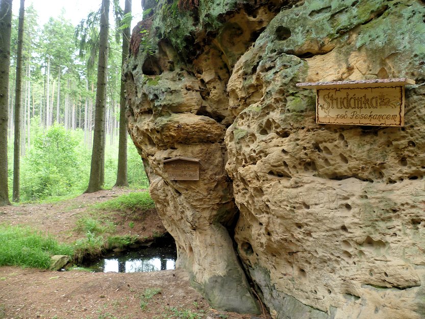studánka Pod Posekancem (6365) - leden 2013