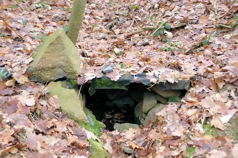 studánka V Oboře (6366) - leden 2013