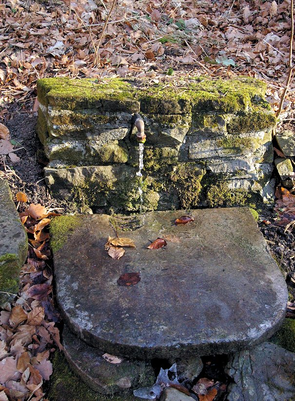 studánka U včelína  (6367) - leden 2013