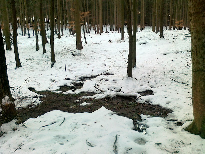 prameniště Pod Stříbrnou cestou (6373) - leden 2013
