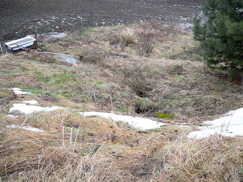 studánka Nad Betlémem (6384) - leden 2013