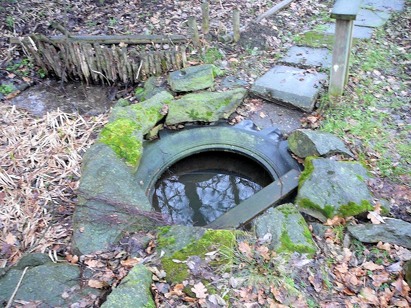 studánka U Tří mostů (6389) - leden 2013