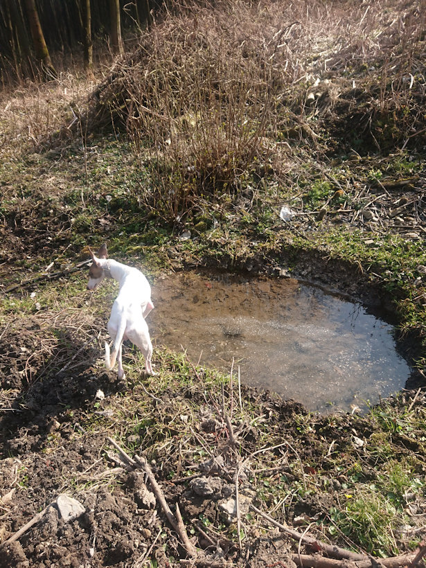 Studánka starého mloka (6393) - březen 2020
