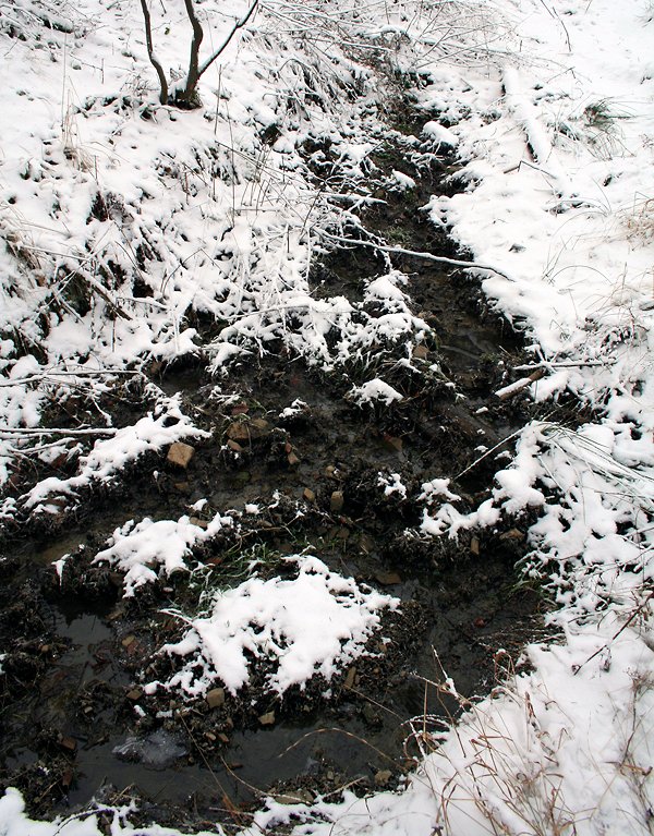studánka Červený kámen (6394) - červen 2013