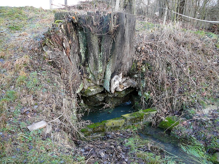 Horní studánka (6396) - leden 2013