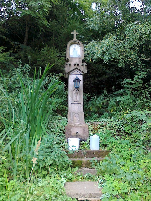 studánka U křížku (6405) - leden 2013