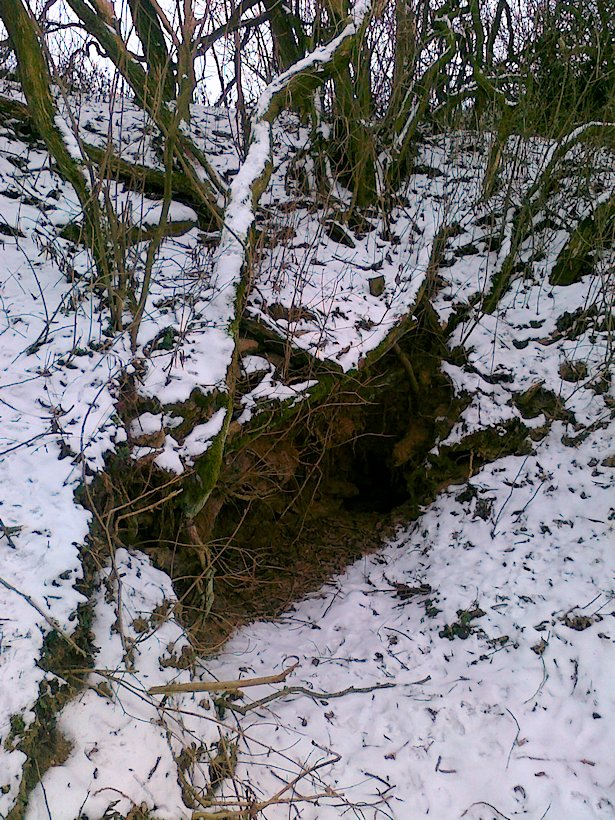 studánka Drahoška (6440) - leden 2013