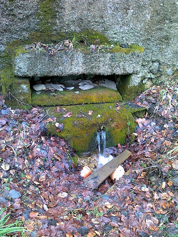 studánka Na Mandlu (6462) - únor 2013