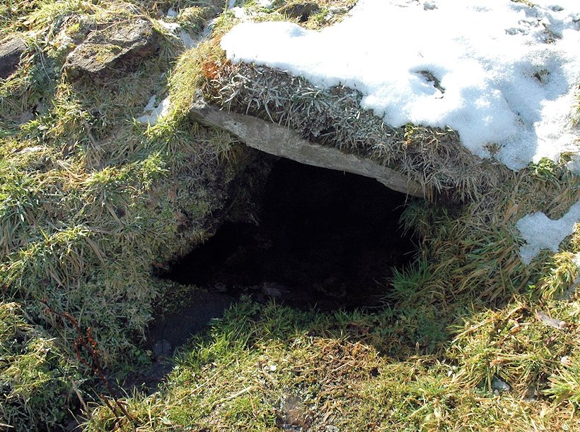 studánka U Trávníčků (6467) - únor 2013